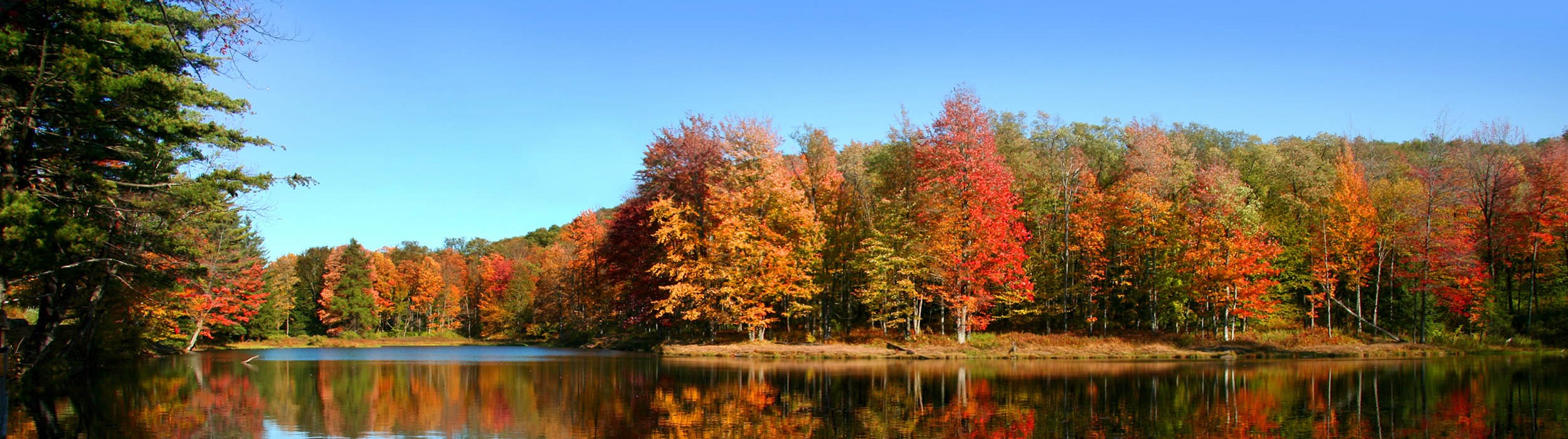 Sundance Vacations Book Rental Properties Resorts Online